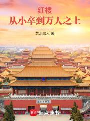 从红楼小厮开始免费