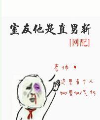 室友他是直男斩讲的什么