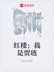红楼我是贾琏无错