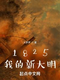 1825我的新大明地图