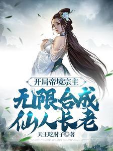 无限合成仙人长老境界