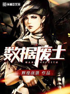 数据废土无防盗