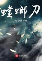 螳螂刀和超声炮哪个好