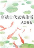 穿越古代老实生活笔趣阁