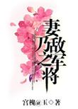 妻乃敌军之将大结局
