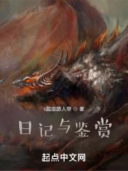 鉴赏日记500字