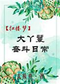 红楼大丫鬟生存日常
