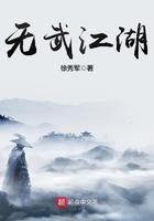 无武江湖全本txt精校徐秀军百度