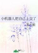 机器人小v