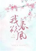 我欲春风皆过客歌曲