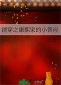 清穿之康熙家的小宠妃 作者冰寒玉萧
