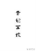 再嫁之贵妃