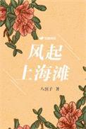 风起上海滩免费观看全集高清版