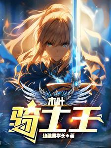 木叶骑士王飞卢