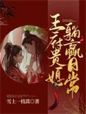 王府小媳妇全文阅读