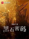 黑石密码讲了什么