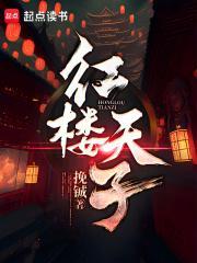 红楼之天子近臣