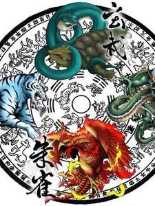 四象神功出自哪本书