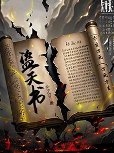 盗天书生作品
