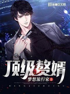 顶级赘婿2免费观看