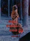 黄皮子!你看我像人还是像神?中国驰名双标