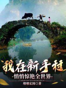 我在新手村卖情报飞卢
