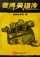 赛博英雄传wiki