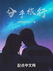 分手的旅行 刘若英