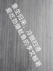 重生归来户口本死绝了