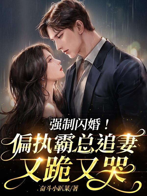 闪婚总裁强制爱