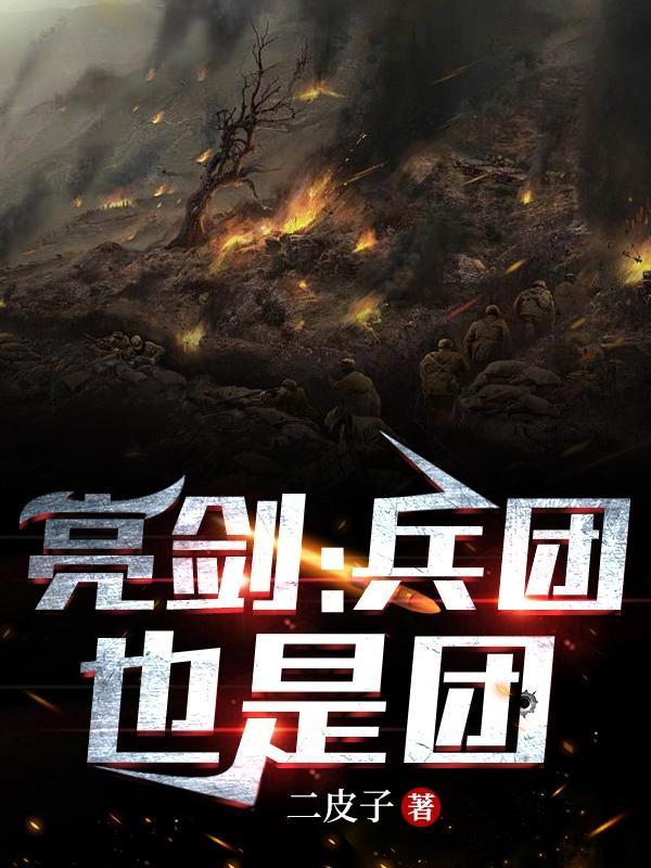 团长与亮剑