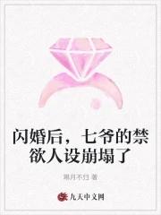闪婚蜜爱七爷的心尖宠无弹窗