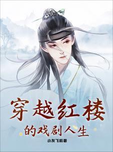 主角穿越红楼
