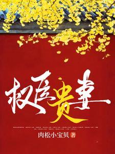 重生贵妻免费阅读全文