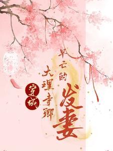 穿越大理寺少卿