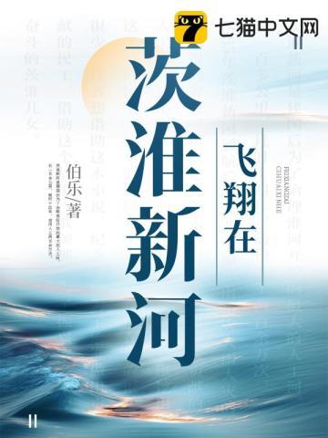 茨淮新河全长多少公里