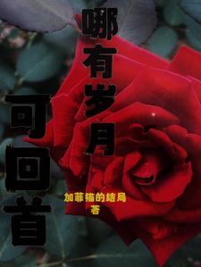 哪有岁月可回首的意思