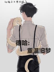 德哈重温旧梦TXT