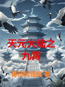 穿越天元大陆的