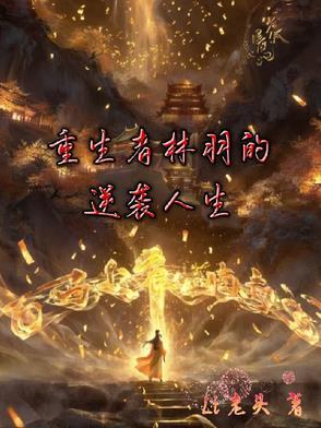 一个叫林羽的重生