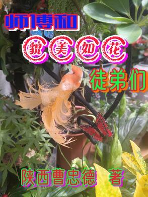 师父貌美如花清绝攻略