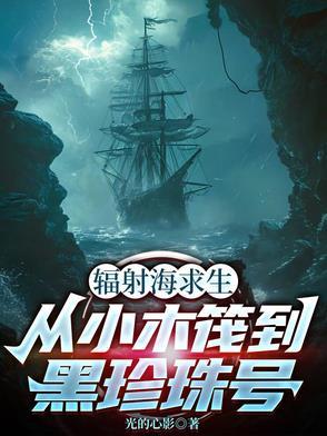 辐射岛视频解说