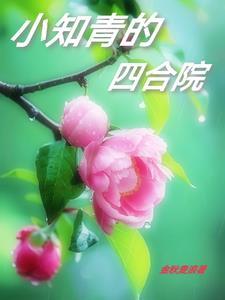 小知青的四合院剧透