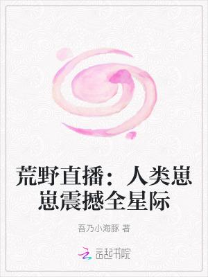 荒野直播系统