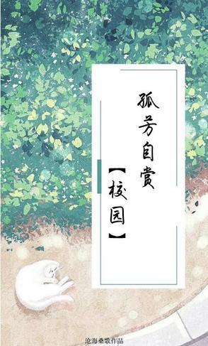 孤芳自赏的下一句
