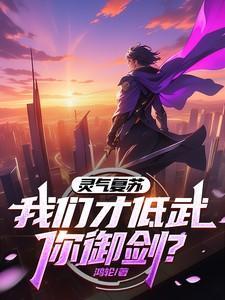 我的武功