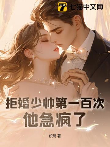 拒嫁少夫人出逃99次免费阅读
