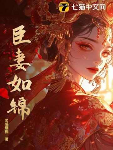 臣妻讲的是