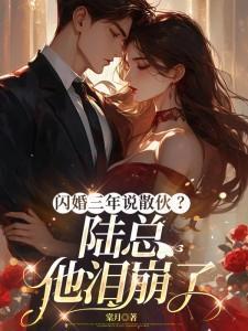 闪婚娇妻陆少太心急陆南城