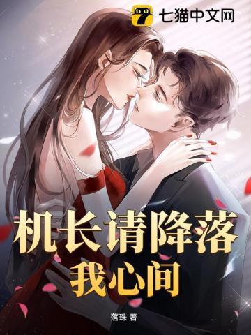请机长大人降落